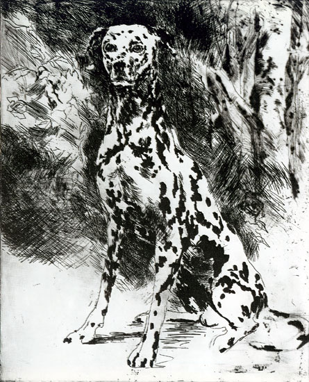 Dalmation LeRoy Neiman Originals 702-222-2221